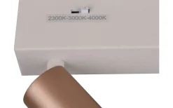 Läslampor<Trio Lighting Ambala Spotlight LED kaffe