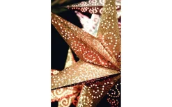 Antique Julstjärna 60cm Guld