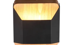 Trio Lighting Arino Vägglampa LED 12cm mattsvart* Lampetter