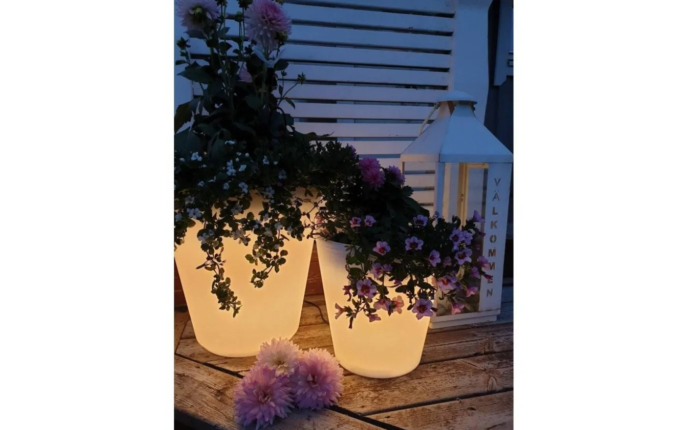 Assisi Blomkruka Liten LED