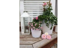 Assisi Blomkruka Liten LED