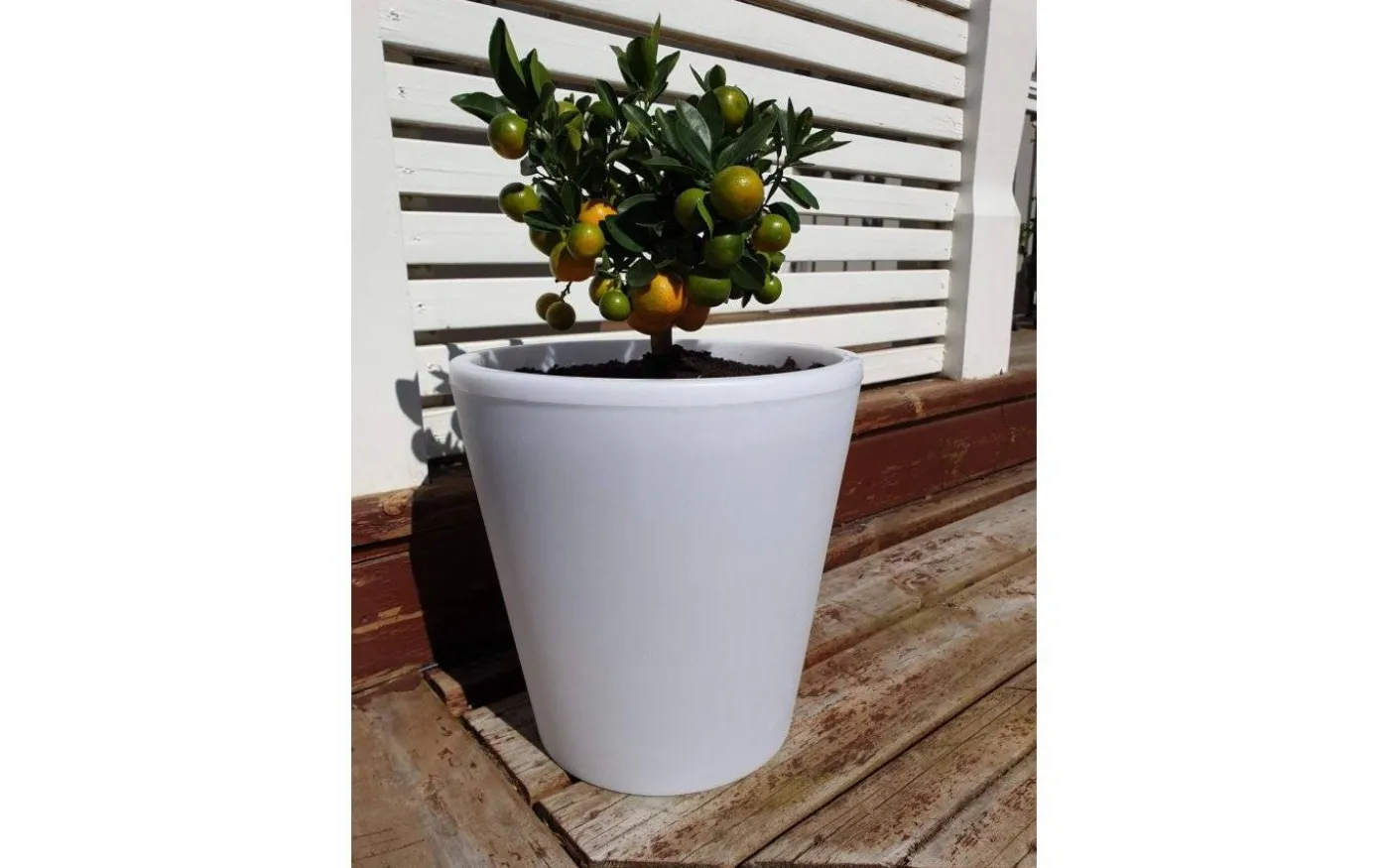 Assisi Blomkruka Stor LED