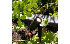 Lightson Garden Plug & Play<Lightson Astro Markspotlight 44cm Antracit LED 3000K 180lm 3W