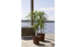 Dekorationsträd<Star Trading Bali Dekorationsträd 90cm Grön