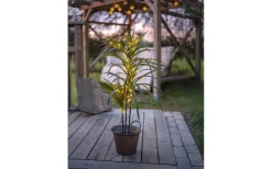 Dekorationsträd<Star Trading Bali Dekorationsträd 90cm Grön