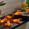 Batteridriven Ljusslinga Kräftor 2,1 m LED