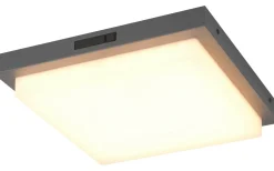 Trio Lighting Bermejo Plafond LED 30x30cm antracit IP54* Badrumslampor Tak