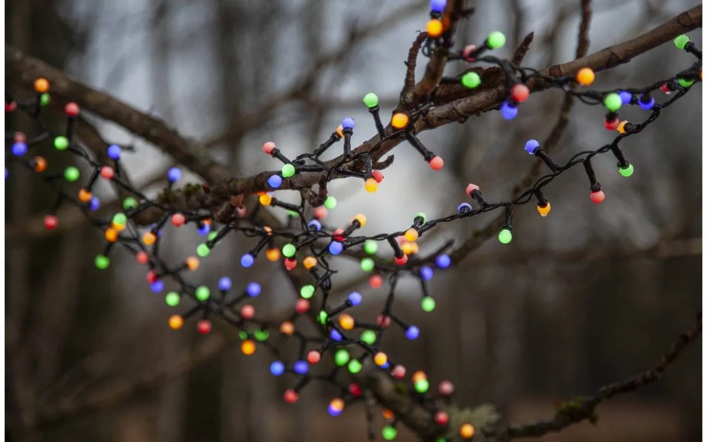 Berry Mini Ljusslinga Färgmix 15m IP44