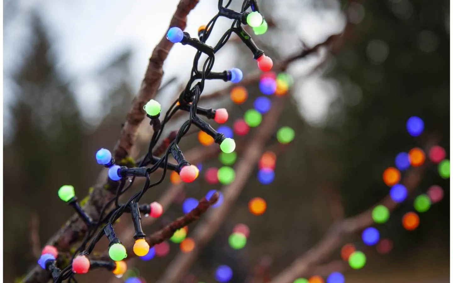 Ljusslingor Med Färgade Lampor<Star Trading Berry Mini Ljusslinga Färgmix 6m IP44