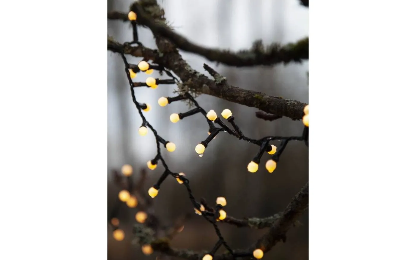 Berry Mini Ljusslinga Varmvit 6m IP44