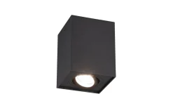 Takspot Med 1 Lampa<Trio Lighting Biscuit Takspotlight 1-dels GU10 mattsvart
