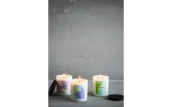 Markslojd Blomrike Doftljus Svart Lilja* Doftljus & Doftpinnar