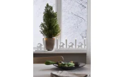 Star Trading Bruse Adventsljusstake 18cm LED Vit* Adventsljusstakar 0-30 Cm