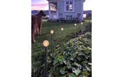 Star Trading Bubbly 10-Pin Solcellslampa 30cm* Solcellslampor Stig & Mark|Batterier Till Solcellslampor