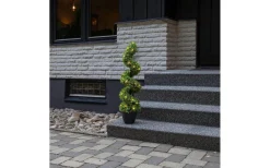 Star Trading Buxbom Dekorationsträd 90cm Grön IP44* Dekorationsträd