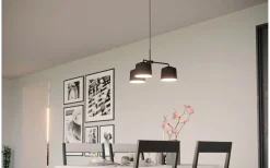 Stora Taklampor Ø50-69 Cm<Eglo Caguanes Taklampa 67cm Svart