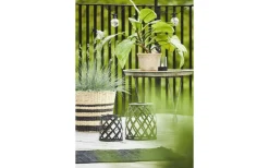 Calabria Solcellslampa 28cm Svart