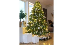 Star Trading Calgary Konstgran 210cm* Konstgranar