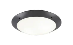 Camaro Plafond 33cm 2xE27 antracit IP54