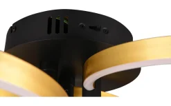 Trio Lighting Caruso Plafond LED matt svart/guld* Plafonder