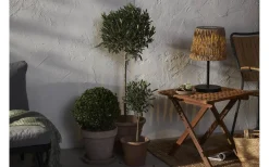 Star Trading Cesta Solcellsdriven Bordslampa 48cm Brun* Bordslampor Utomhus|Visa Alla Solcellslampor