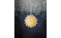 Star Trading Cloud Pappersstjärna 45cm Vit* Exklusiva Pappersstjärnor|Visa Alla Julstjärnor