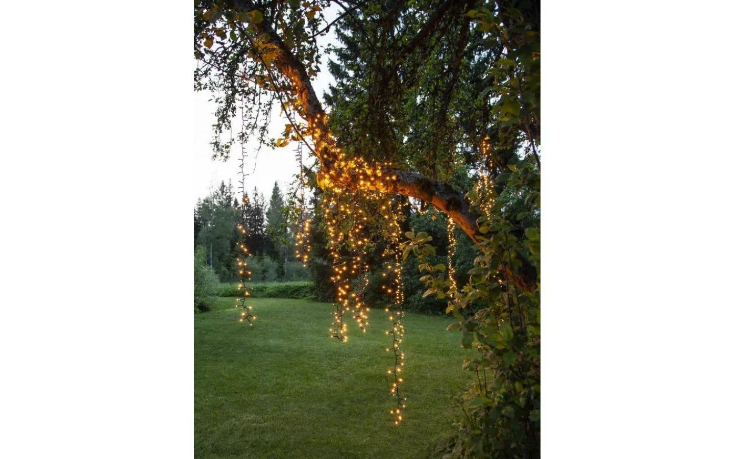 Star Trading Clusterslinga Golden Warm White 16m 800LED IP44* Långa Ljusslingor (11-20M)|Clusterslingor