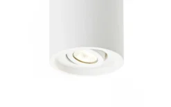 Takspot Med 1 Lampa<Rendl Coles Taklampa Gips GU10