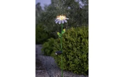 Solcellslampor Dekoration|Solcellslampor Stig & Mark<Star Trading Daisy Solcellslampa 77cm