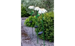 Solcellslampor Dekoration|Solcellslampor Stig & Mark<Star Trading Daisy Solcellslampa 77cm