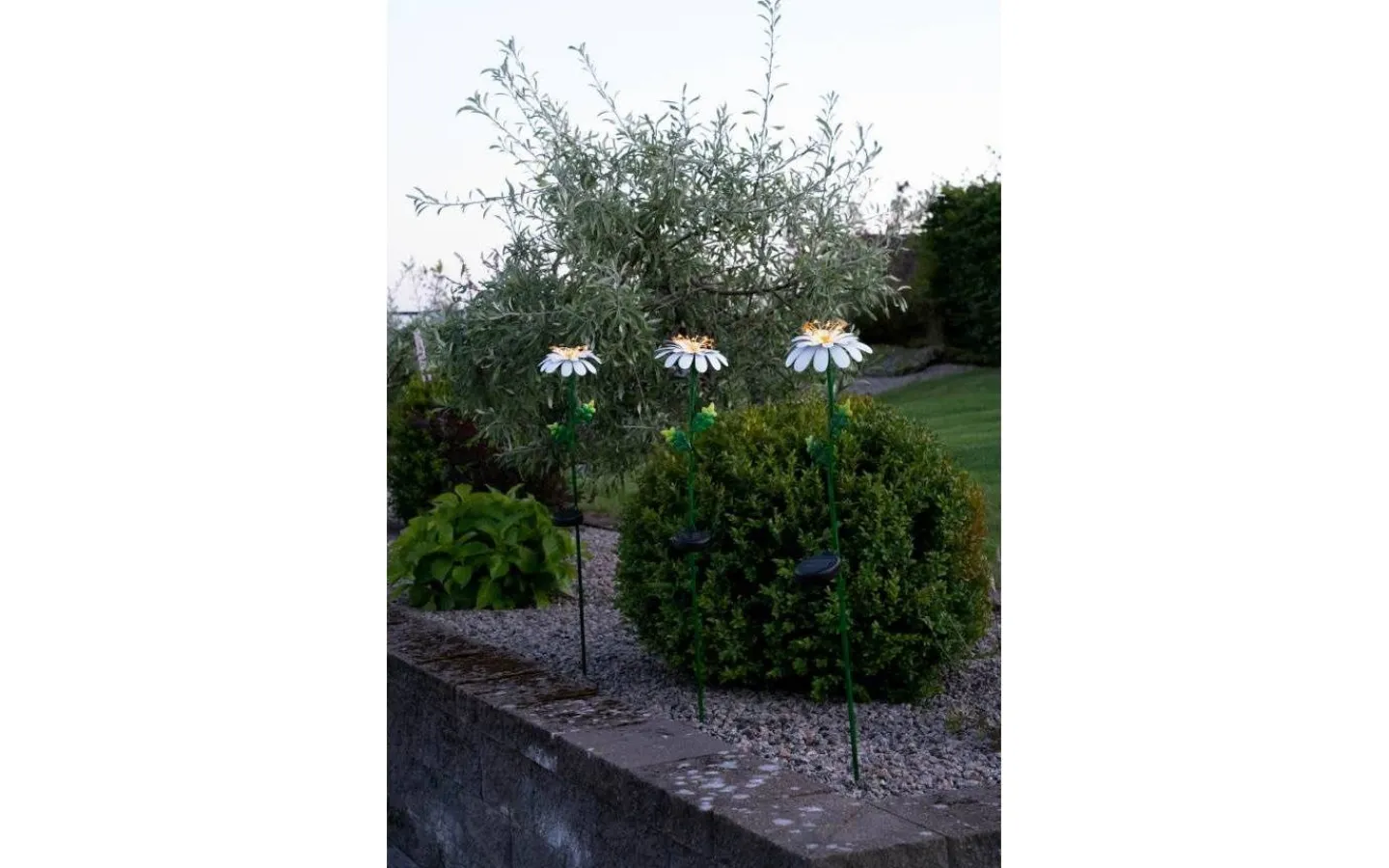 Solcellslampor Dekoration|Solcellslampor Stig & Mark<Star Trading Daisy Solcellslampa 77cm