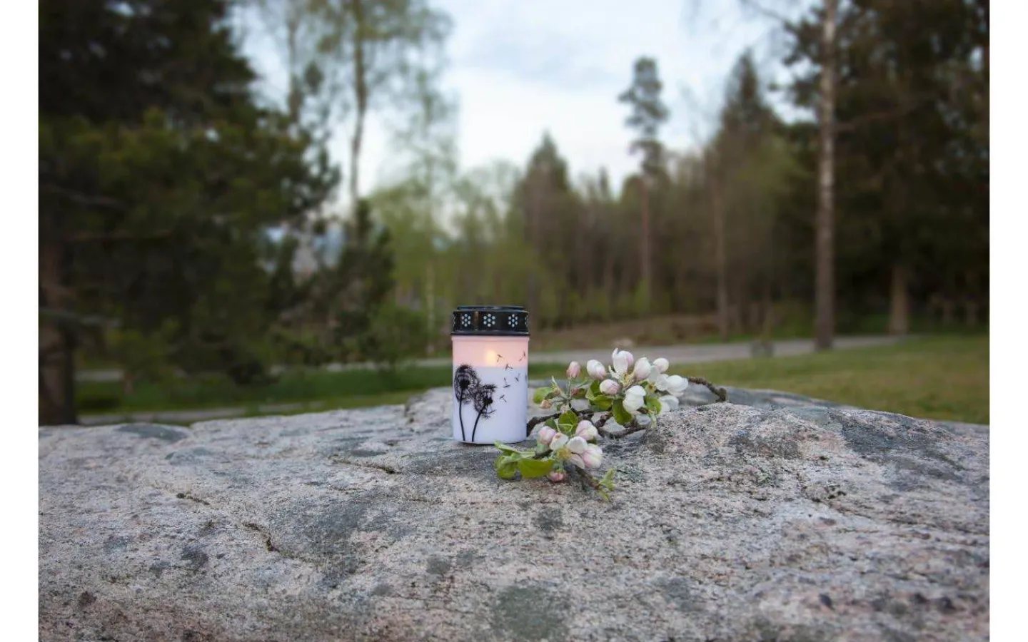 Star Trading Dandelion Batteridrivet Gravljus 12cm Timer Longlife 2500h Vit* Gravljus|Gravljus