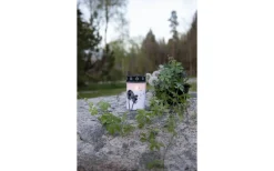 Star Trading Dandelion Batteridrivet Gravljus 12cm Timer Longlife 2500h Vit* Gravljus|Gravljus