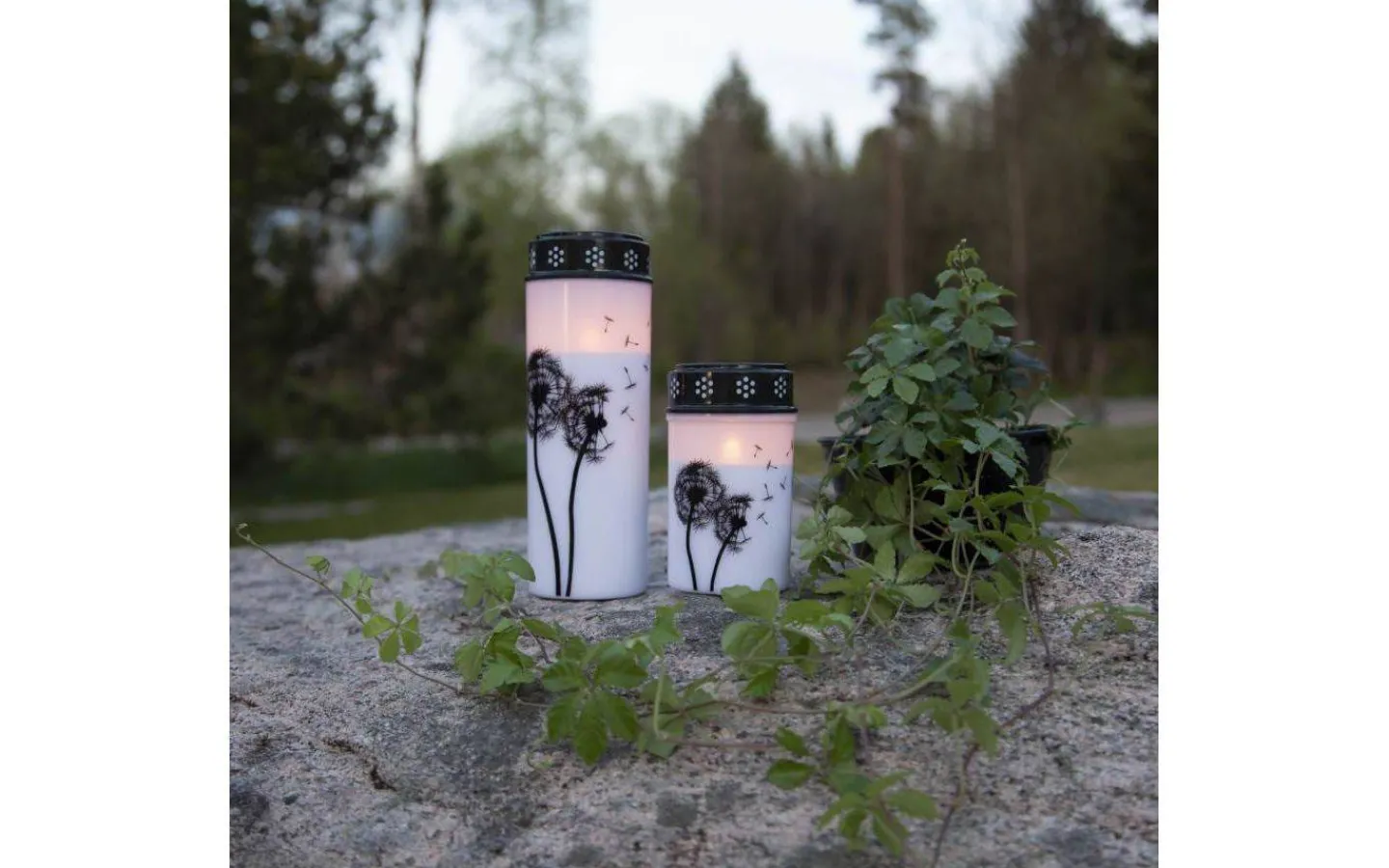 Star Trading Dandelion Batteridrivet Gravljus 12cm Timer Longlife 2500h Vit* Gravljus|Gravljus