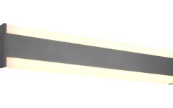 Dawson Vägglampa LED 60cm antracit IP54