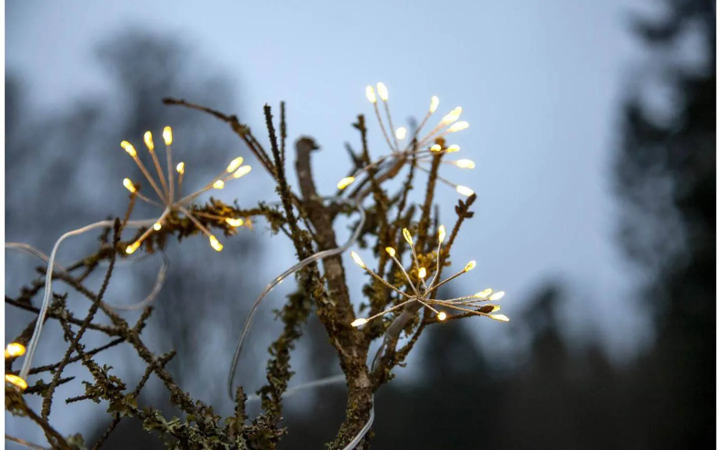 Star Trading Dew Drop Flower Batteridriven Ljusslinga 2,1m Silver IP44* Batterislingor|Dew Drop Slingor