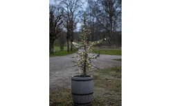 Dew Drop Micro Ljusslinga 15m Transparent Varmvit IP44