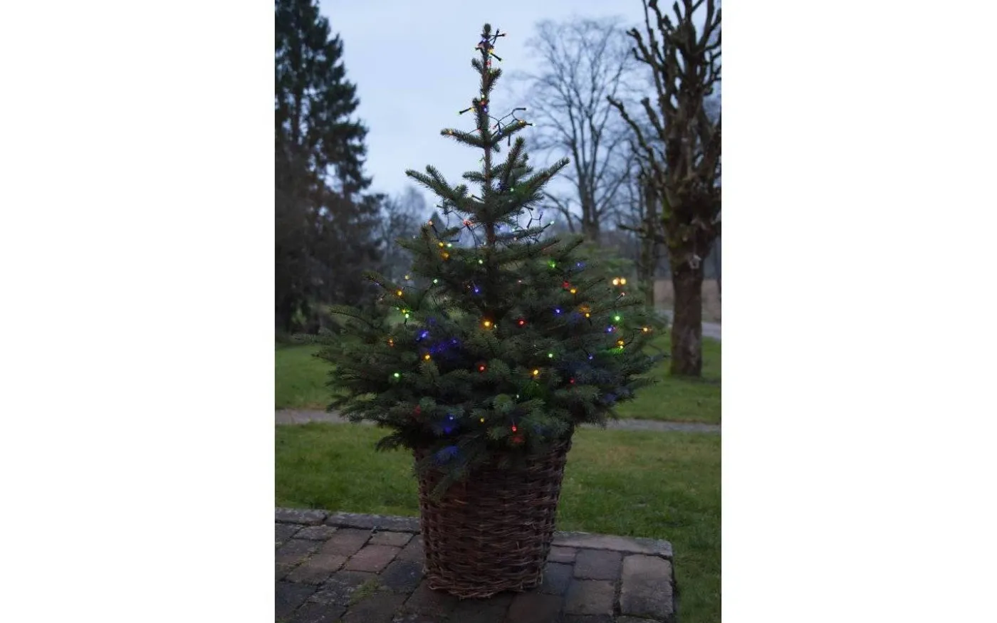 Diamond Batteridriven Ljusslinga med Timer Färgmix 6m IP44