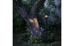 DL25 Pollare 90cm Svart IP44