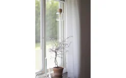 Fönsterlampor<Globen Lighting Dot Fönsterlampa 11cm Klar