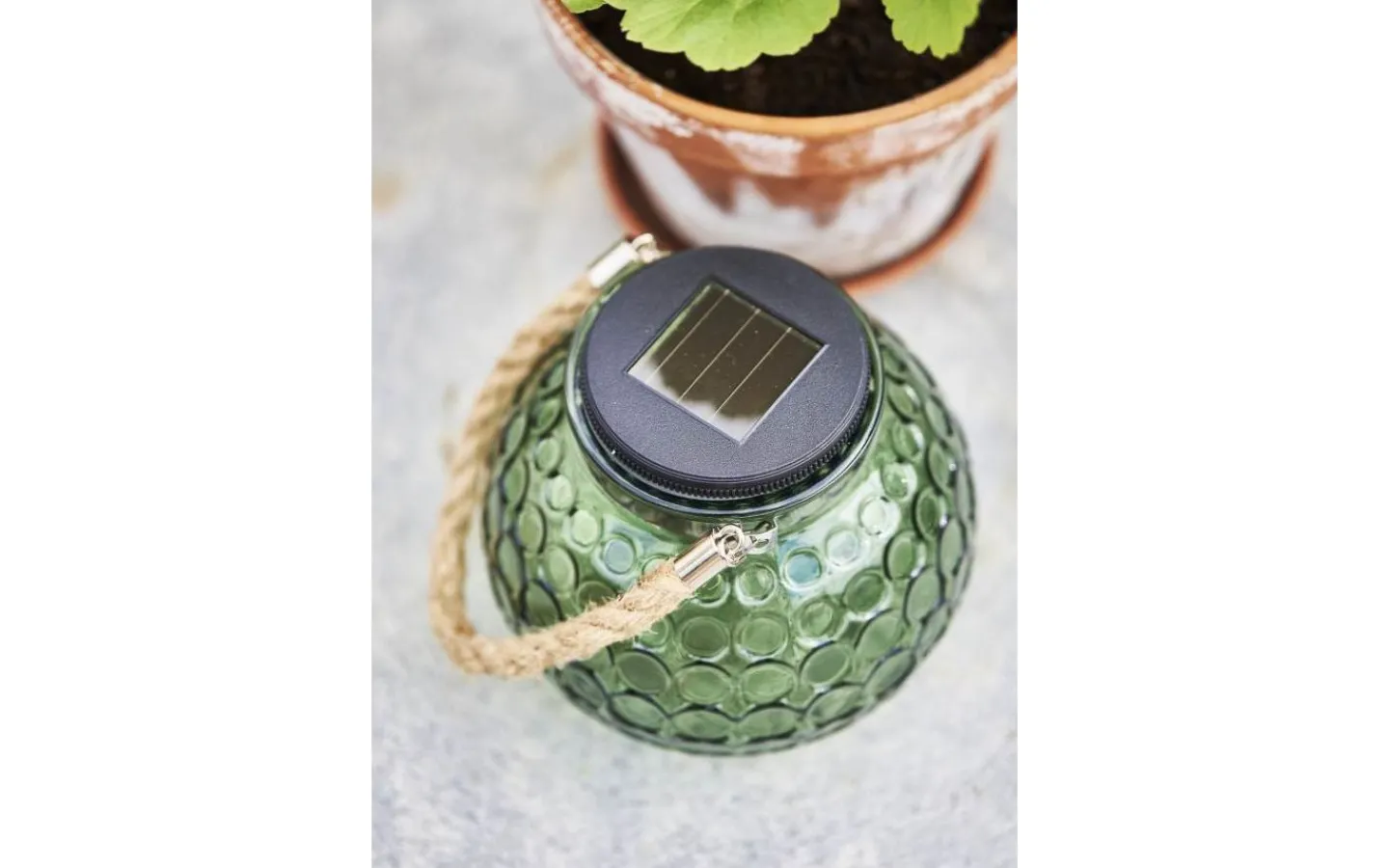 Solcellslampor Dekoration|Visa Alla Solcellslampor<Star Trading Dotte Solcellslykta Grön