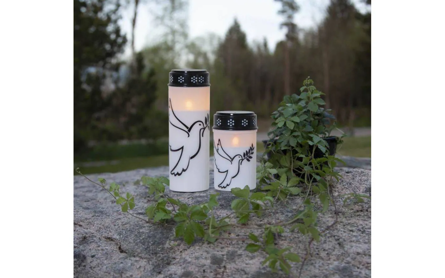 Star Trading Dove Batteridrivet Gravljus 20,5cm Timer Longlife 2500h Vit* Gravljus|Gravljus