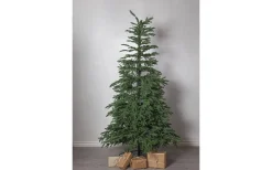 Konstgranar<Star Trading Edane Julgran 210cm Grön