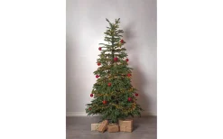 Konstgranar<Star Trading Edane Julgran 210cm Grön