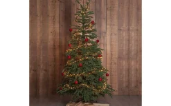 Konstgranar<Star Trading Edane Julgran 210cm Grön