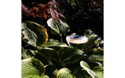 Lightson Ellips LED 3000K 90lm 2W* Lightson Garden Plug & Play