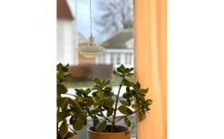 Aneta Epsilon Fönsterlampa 20cm Sand* Fönsterlampor