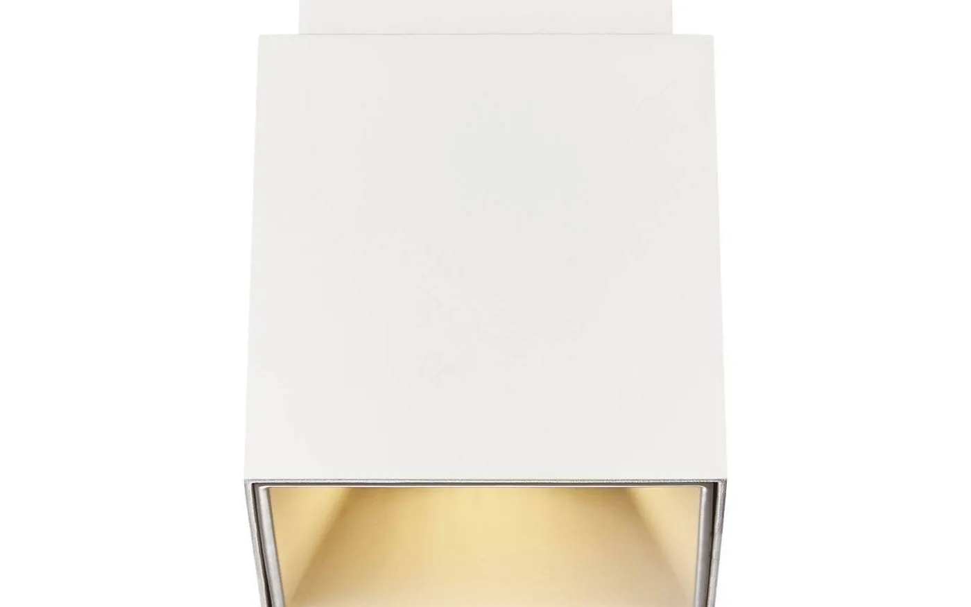 Ethan Takspotlight Vit