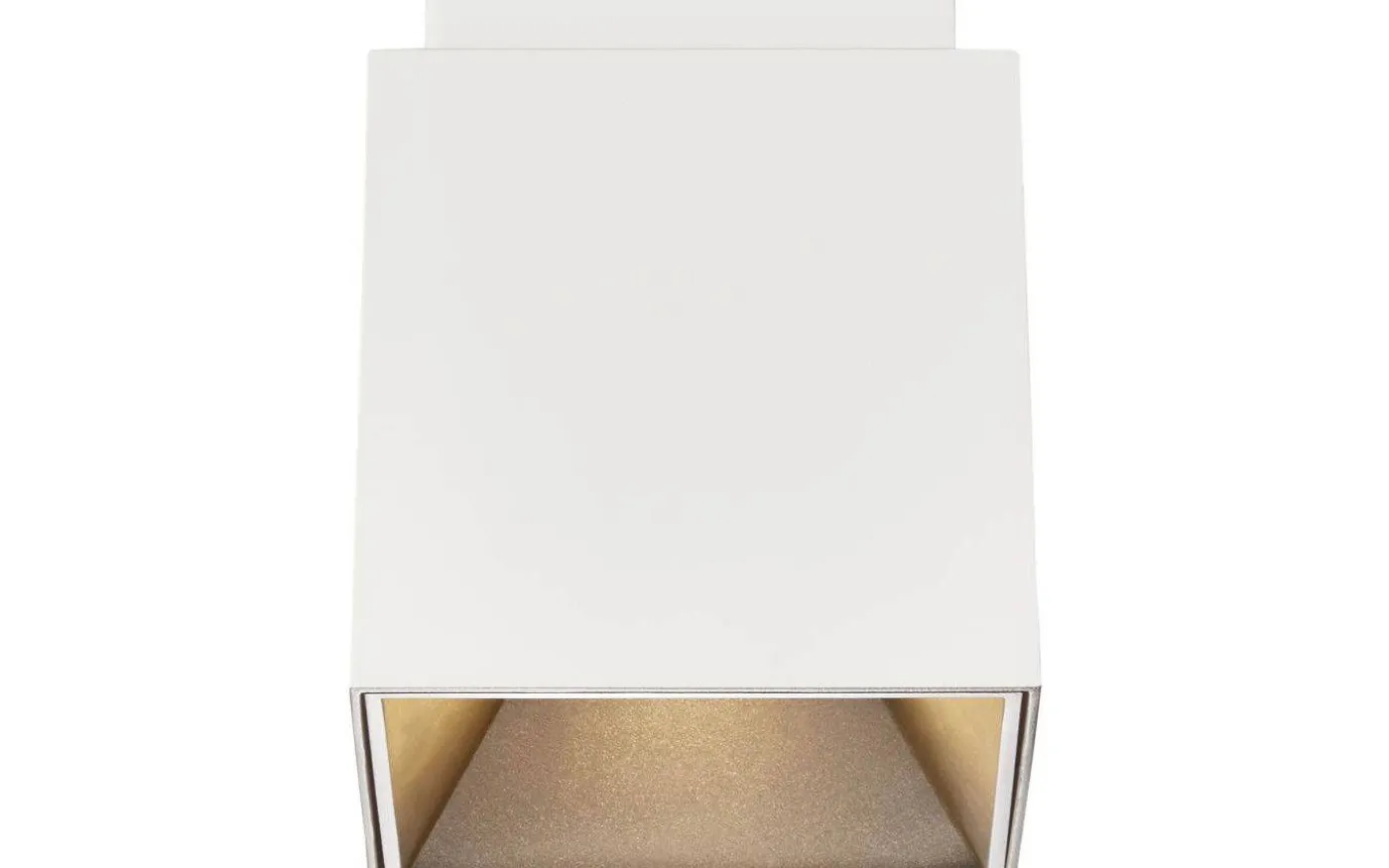 Ethan Takspotlight Vit