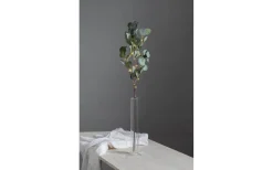 Eucalyptus Batteridriven Kvist